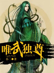 唯武独尊3